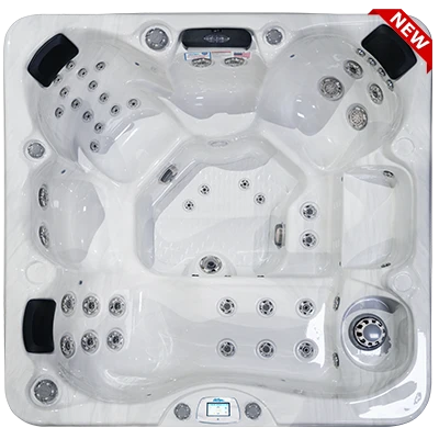 Avalon-X EC-849LX hot tubs for sale in Newark