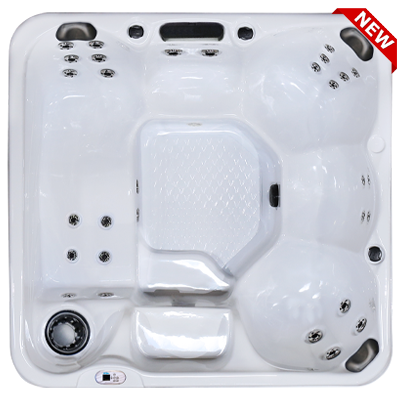 Hawaiian Plus PPZ-628L hot tubs for sale in hot tubs spas for sale Newark