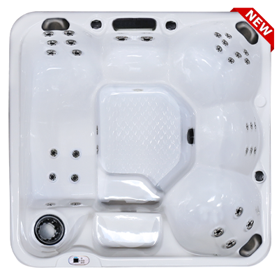 Hawaiian Plus PPZ-634L hot tubs for sale in hot tubs spas for sale Newark