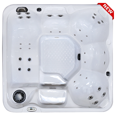 Hawaiian PZ-636L hot tubs for sale in hot tubs spas for sale Newark